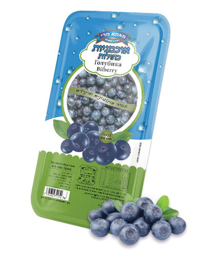 אוכמניות כחולות (300 גרם)