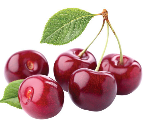 דובדבנים חמוצים במשקל 10 קג