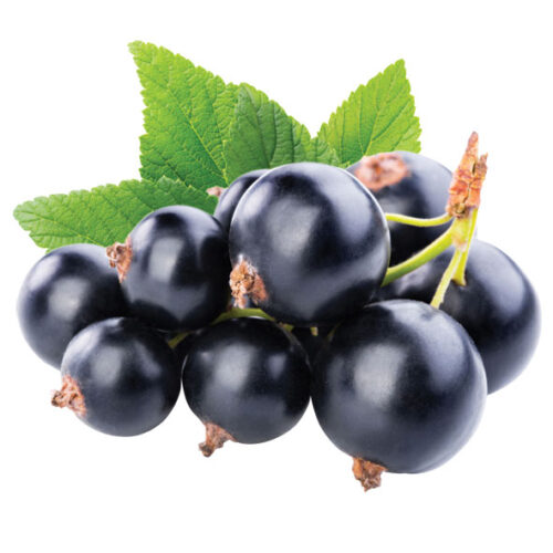 דומדמניות שחורות במשקל 10 קג