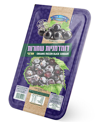 דמדמניות שחורות -אורגני