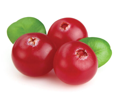 חמוציות יער (קלוקוא סיבירי) במשקל 10 קג