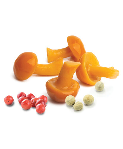 אופיאטה פטריות