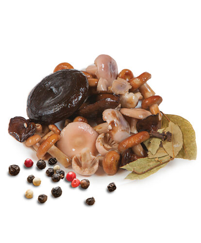 פטריות מיקס מגוון סוגים (4 ק"ג)