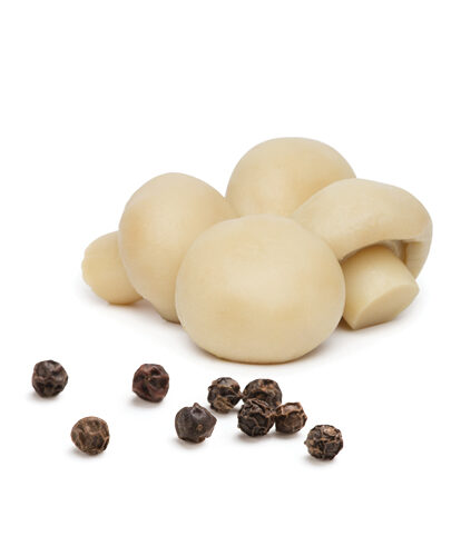 פטריות-במלח