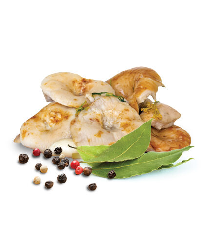 פטריות-גרוזדי