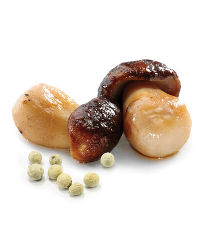 פטריות-לבנות