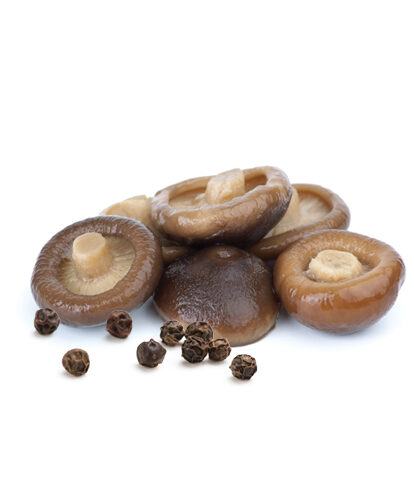 פטריות-שיטאקי