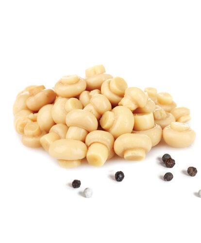 פטריות-שמפיניון-כפתורים