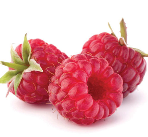 פטל אדום 800 גרם